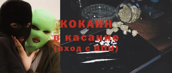 сатива Арсеньев